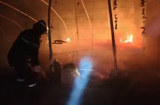 حريق مستودع  يأتي على 3500 دجاجة بسعيدة