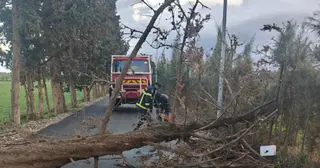 هبوب رياح قوية: تسجيل 62 تدخلا خلال الـ24 ساعة الاخيرة