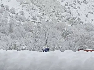 تساقط أمطارغزيرة وثلوج كثيفة بتلمسان  ..جمال المنظر يستهوي الزوار بهضبة لالاستي و بني سنوس