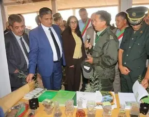 سعيدة...الوالي يُشرف على انطلاق حملة الحرث والبذر