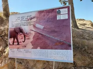 معسكر... العثور على ناب شبه كامل لفيل منقرض"عمره مليون و200 ألف سنة