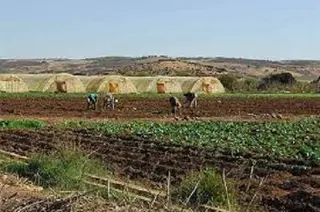 نظام ري ذكي قريبا بمستثمرات فلاحية بوهران و مستغانم