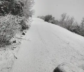 الثلوج توشح مرتفعات الجهة الغربية والجنوبية بتلمسان