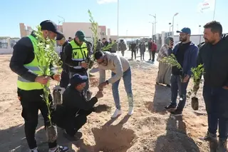 وزارة الفلاحة :حملة تشجير كبرى لغرس خمسة ملايين شجرة يوم 14 فبراير الجاري