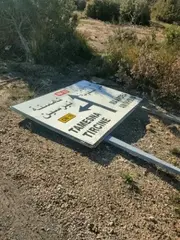 رياح قوية بسرعة 90 كلم /سا بسعيدة..  تدخلات ميدانية  لإزالة الأشجار ولافتات المرور المتساقطة