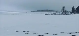 ثلوج يتعدى سمكها 15 سم بتيارت ... الأشغال العمومية تتدخّل لفتح الطرقات