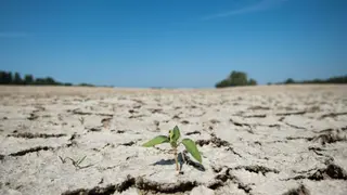 انخفاض غير مسبوق في درجة الحرارة بتيارت و الفلاحون قلقون من إتلاف المحاصيل الزراعية