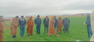 في خرجة ميدانية لخلية شعبة الحبوب بيوب... إرشادات تقنية للفلاحين لضمان نجاح حملة البذر