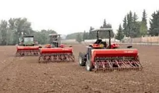 بعد ارتواء الأرض بأكثر من 58 ملم بسيدي بلعباس .. توسيع مساحات زراعة  الحبوب إلى 45 ألف هكتار