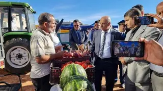 البيض...  توزيع 23 عقد امتياز موجهة للاستثمار الزراعي في حياء اليوم الوطني للإرشاد الفلاحي