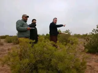 استعدادا لغرس 50 ألف شجيرة بسيدي احمد .....محافظة الغابات تباشر عملية الحفر والتهيئة