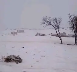 تيارت ...ثلوج وانخفاض في درجات الحرارة إلى دون الصفر