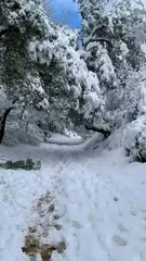 ثلوج وأمطار وأجواء باردة بتيسمسيلت... مشاهد ساحرة بثنية الحد وبرج بونعامة