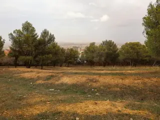 ستُعيد الاعتبار للفضاءات الغابية  بتيسمسيلت ... الشروع قريبا في تجسيد مشاريع سياحية جديدة