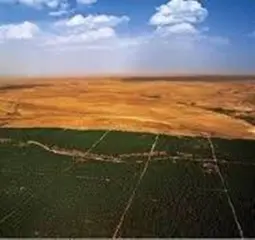 محافظة الغابات  بالبيض بعث  برنامج السد الأخضر  عبر 16 بلدية