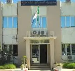 الغرفة الفلاحية بمعسكر ..  نحو إطلاق مشروع  زراعة عباد الشمس