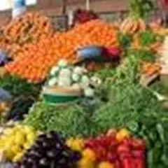 في ملتقى حول الصحة الاستهلاكية بسعيدة ..التفصيل في ضوابط عرض الخضر والفواكه الطازجة