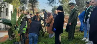 غليزان: احياء لذكرى  مظاهرات 11 ديسمبر...حملة تشجير واسعة بحديقة موريس أودان بسيدي أمحمد بن علي