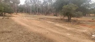 معالجة  235 هكتارا من المساحة الغابية  بمستغانم ...غرس  أكثر 26 ألف شتلة في حملة التشجير الكبرى