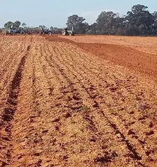 لجنة تطهير العقار الفلاحي بمستغانم ...دراسة 345 ملفا وفق معايير دقيقة وصارمة