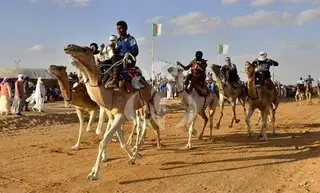 البيض : توقع أزيد من 30 مشاركا في الطبعة الثامنة لمهرجان القور لسباق  المهاري