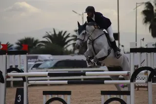 البطولة الوطنية للقفز بالحواجز تختتم غدا  بوهران  ...تألق فرسان إتري وهران والحرس الجمهوري