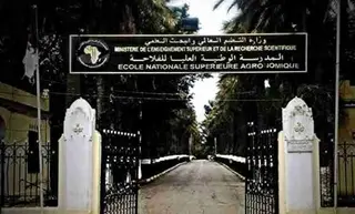 المدرسة الوطنية العليا للفلاحة تستحدث حظيرة ذكية للمحافظة  على سلالة الأغنام "الحمرا"