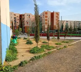 حملة وطنية واسعة لتحسين المحيط الحضري  والفضاءات العمومية