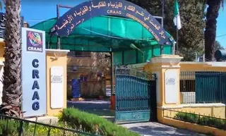 هزة ارتدادية بقوة  7ر4 درجات بولاية تبسة