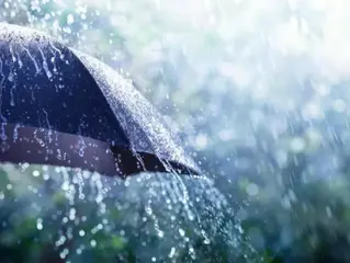 أمطار مرتقبة في عدة ولايات من البلاد إلى غاية الجمعة المقبل